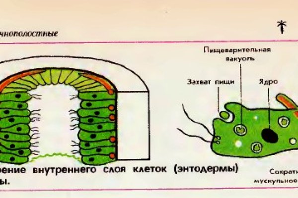 Bs gl зеркало blacksprut wiki