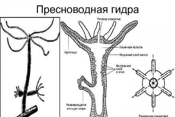 Блэкспрут ссылка bs2web top