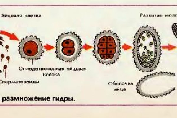 Черный рынок зайти