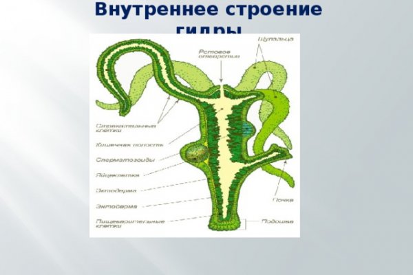 Ссылка на блэкспрут 1blacksprut me