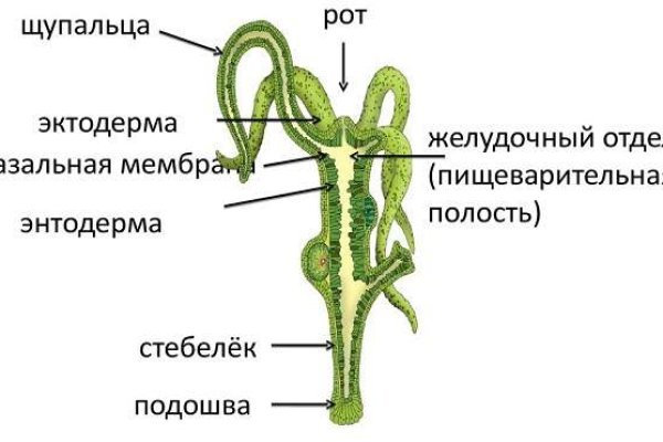 Не работает сайт blacksprut blackprut com